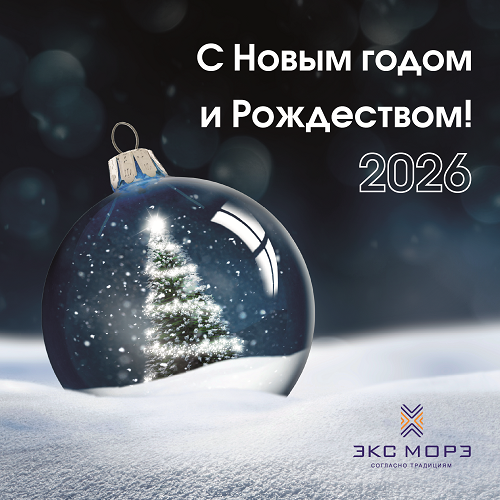 С Новым 2026 годом и Рождеством!